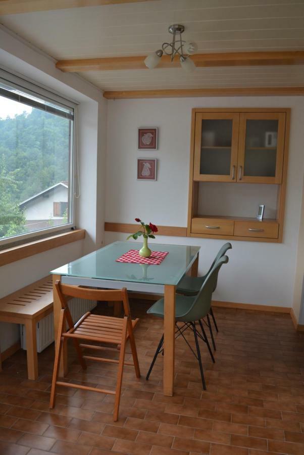 Apartma Zala โมสต์ นา โซชิ ภายนอก รูปภาพ