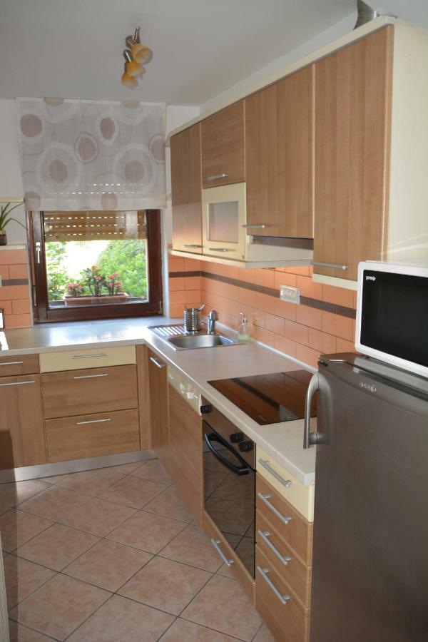 Apartma Zala โมสต์ นา โซชิ ภายนอก รูปภาพ