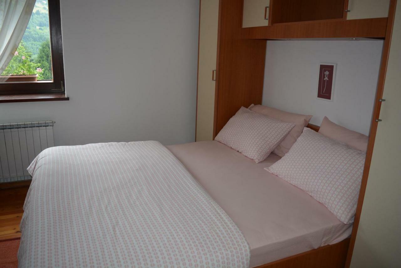 Apartma Zala โมสต์ นา โซชิ ภายนอก รูปภาพ